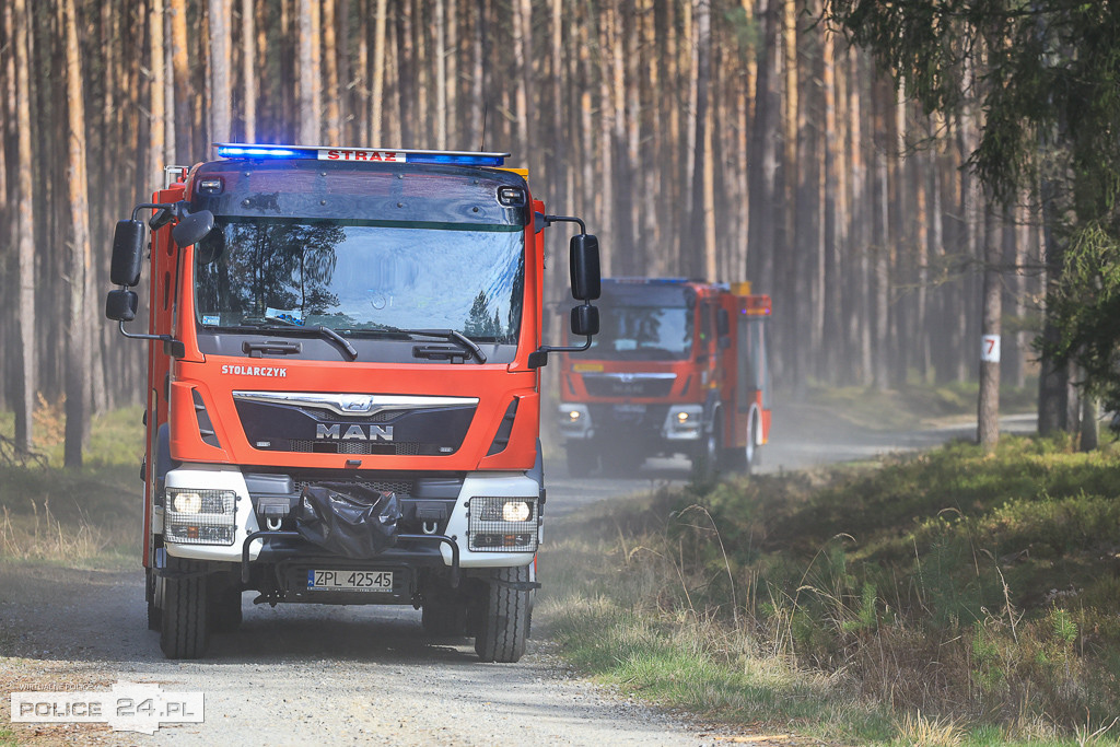 Wielkoobszarowy pożar Puszczy Wkrzańskiej