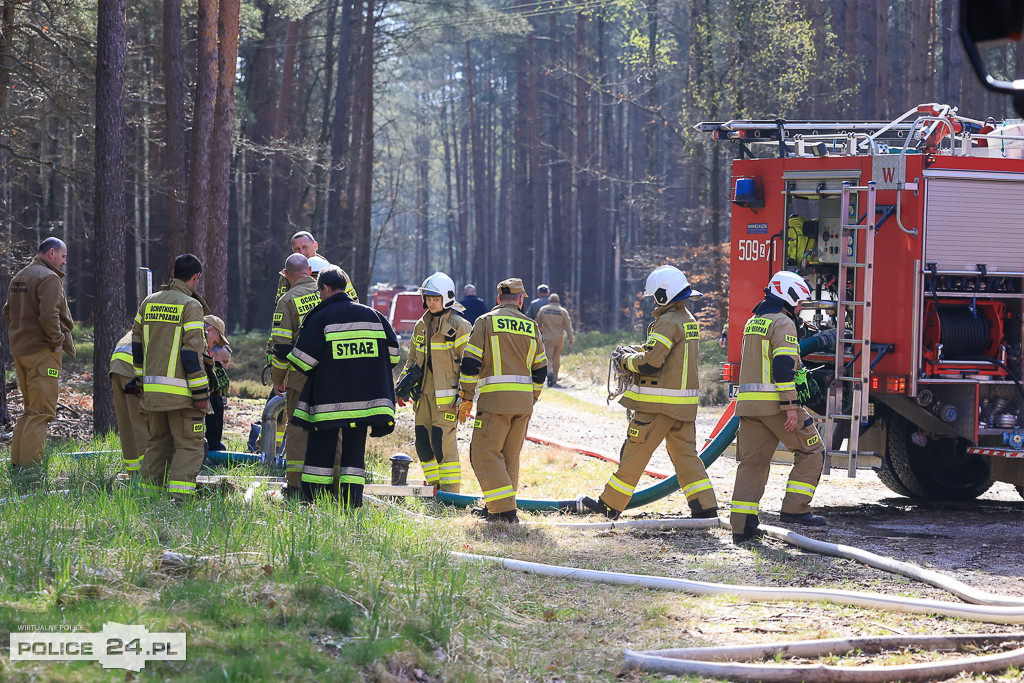 Wielkoobszarowy pożar Puszczy Wkrzańskiej