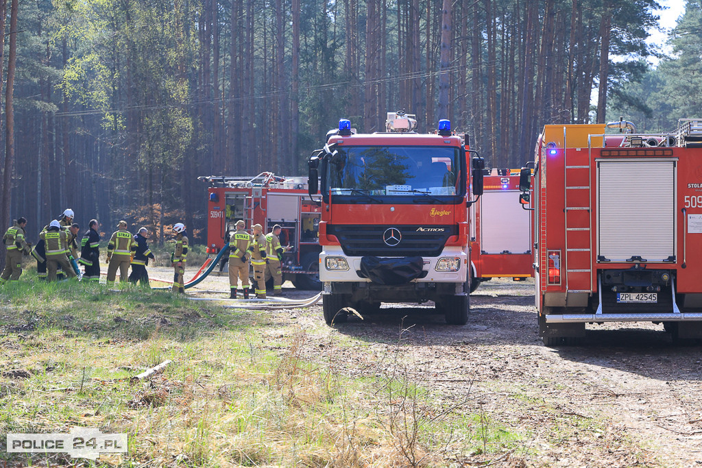 Wielkoobszarowy pożar Puszczy Wkrzańskiej
