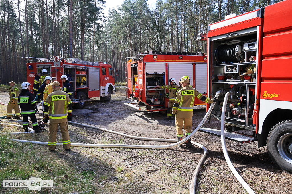 Wielkoobszarowy pożar Puszczy Wkrzańskiej
