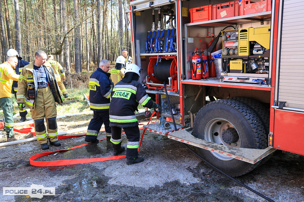 Wielkoobszarowy pożar Puszczy Wkrzańskiej
