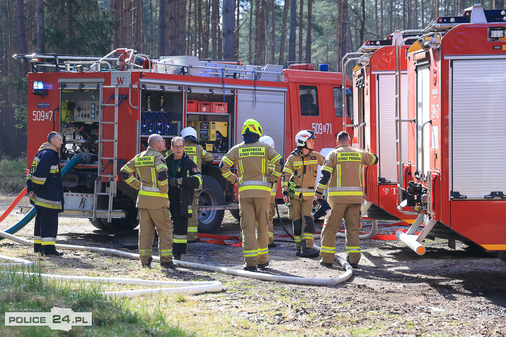 Wielkoobszarowy pożar Puszczy Wkrzańskiej