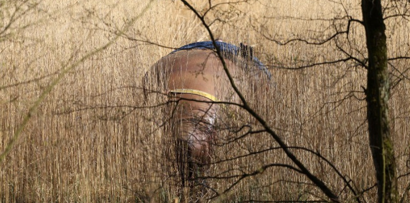 Operacja BOJA. Ponad 100-letnia pława wyciągnięta z trzcinowiska [foto/wideo]