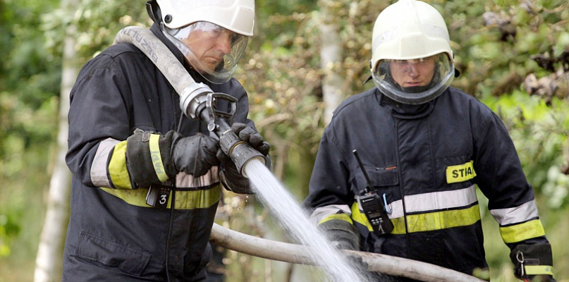 Pożar lasu w Wieńkowie [foto]