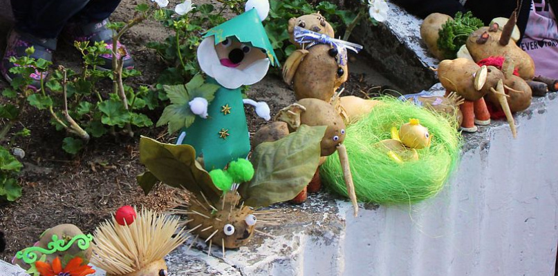 Policki Dzień Pieczenia Ziemniaka w Trzebieży [foto]