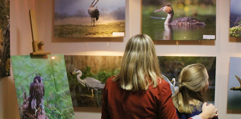 Świdwie Sanctus i wyjątkowe zdjęcia w galerii TaNOWA [foto]
