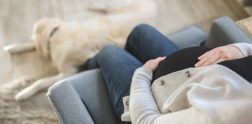 Zdjęcie ilustracyjne. Fot. pixaby.com/pl/