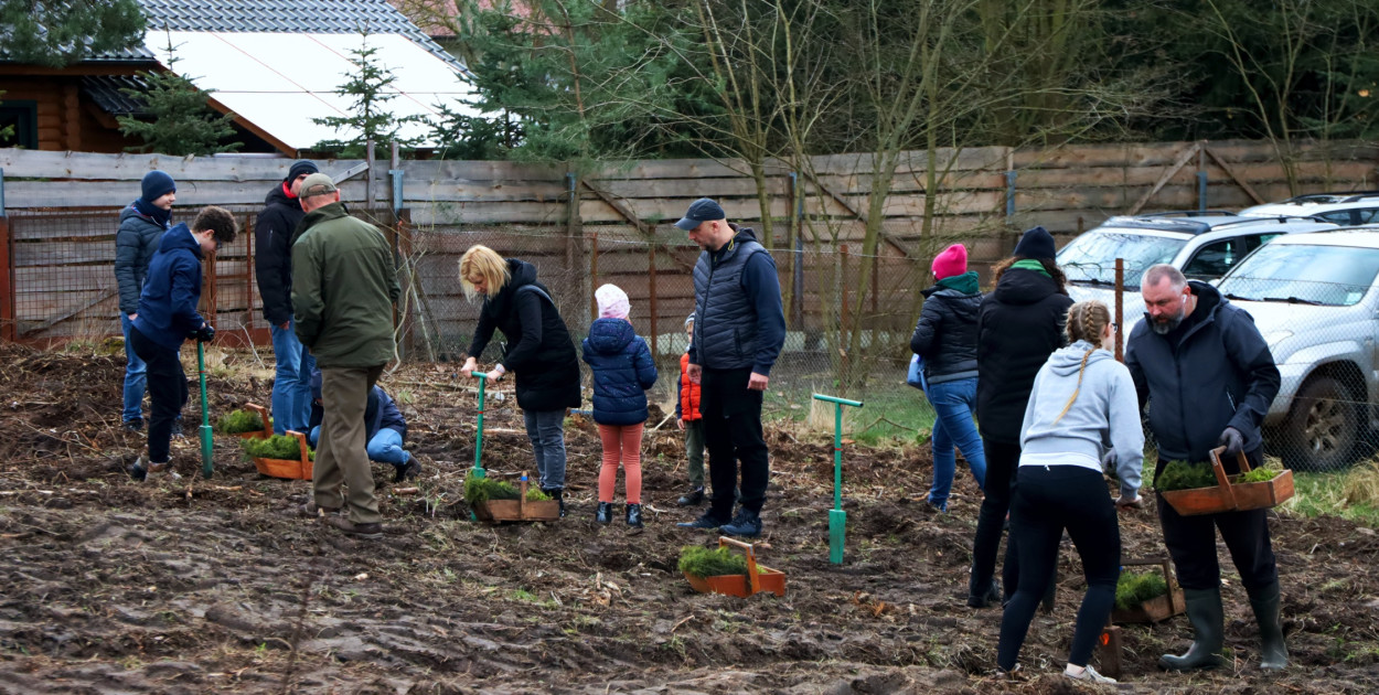 "Puszcza Wkrzańska dla pokoleń" – czyli wiosenne sadzenie lasu w Tanowie