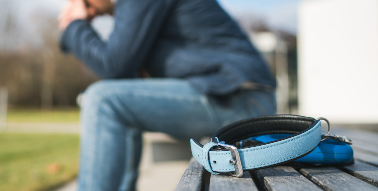 Kremacja zwierząt Szczecin – zadbaj o godne pożegnanie swojego przyjaciela