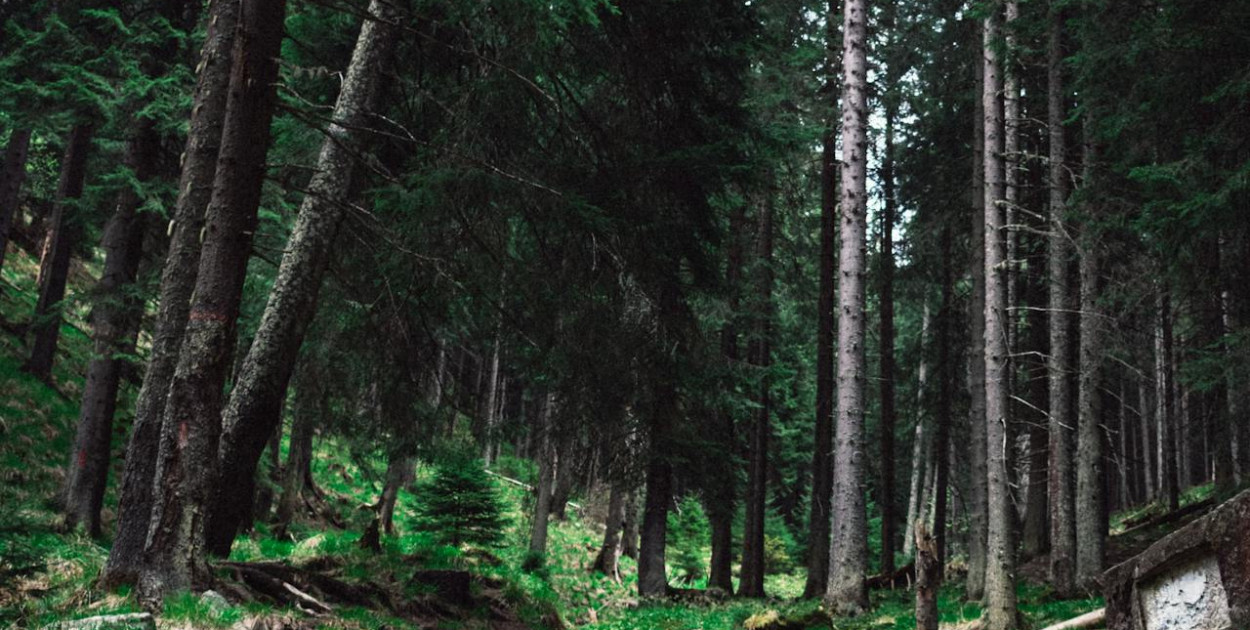 Kotlina Kłodzka – miejsca, które trzeba zobaczyć