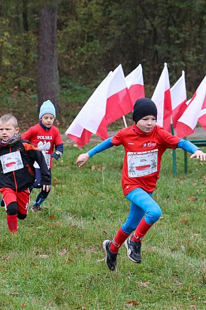 W Święto Niepodległości pobiegli też najmłodsi-2473