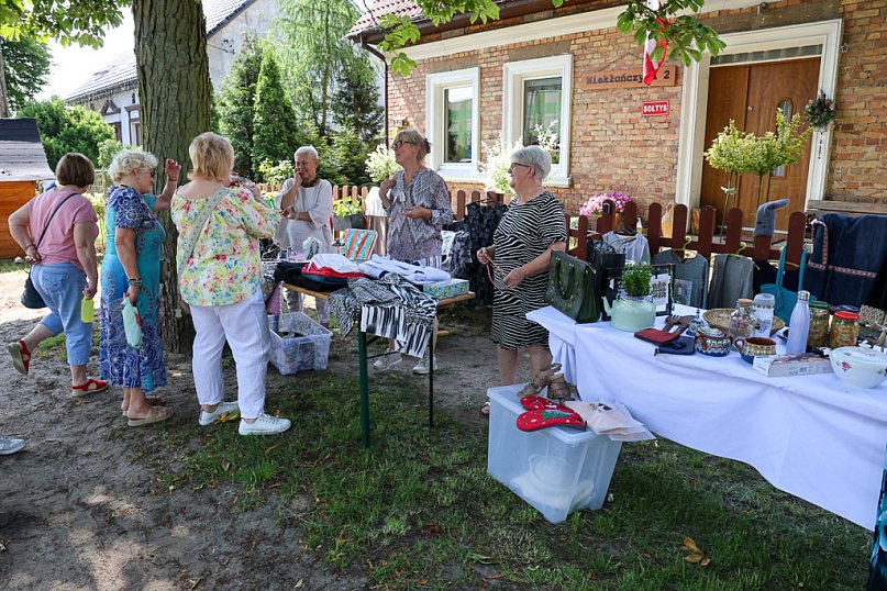 Festiwal Sztuki Pod Drzewami w Niekłończycy