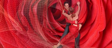 Colours of Tango i milonga na parkiecie-99971