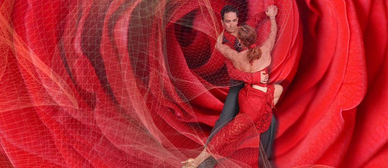 Colours of Tango i milonga na parkiecie