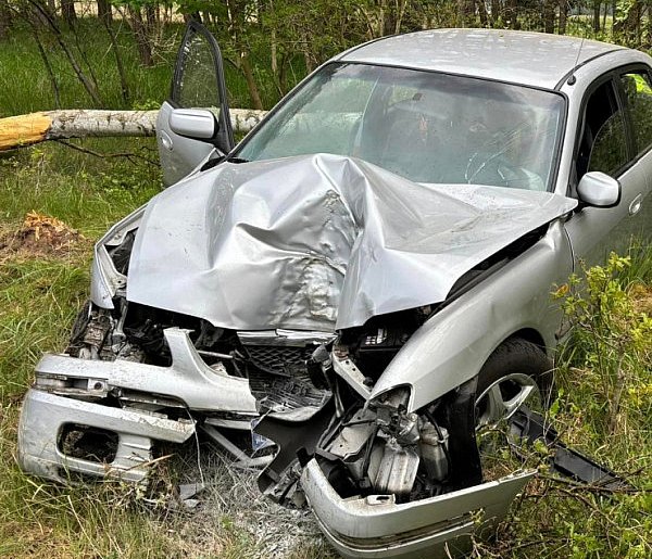 Pijany kierowca uderzył w drzewo na drodze Sławoszewo-Grzepnica-12862