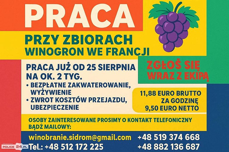 zdjecie ogloszenia