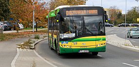 Z Polic na Cmentarz Centralny w Szczecinie linią D07