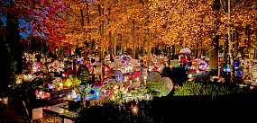 Cmentarz po zmroku skłania do zadumy i refleksji [foto]