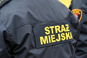 Zapuka strażnik, zapłacisz karę. Ruszyły kontrole w całej Polsce-19814