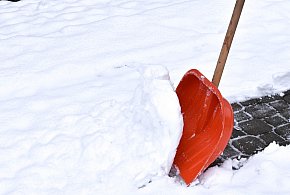 Ten obowiązek może wreszcie zniknąć. Sejm rozważa zmianę przepisów-19980