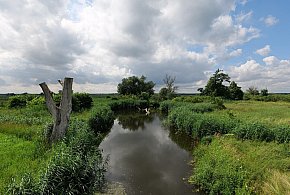 Co dalej z nowym parkiem narodowym? Minister klimatu zdradza plan po wecie-20221