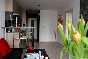 Rewolucja w wynajmie na doby. Nadchodzi koniec "wolnej amerykanki"-20516