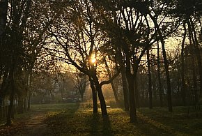 Nadchodzi najkrótszy dzień w 2025 roku. Sprawdź, kiedy przypadnie-20759