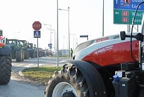 Rolnicy zapowiadają protest w całym kraju. Skala może zaskoczyć-20872