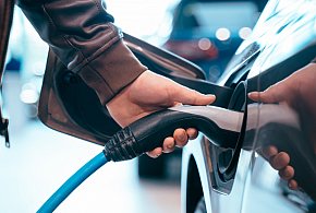 Coraz częściej dochodzi do takich kradzieży. Powody zaskakują-21234