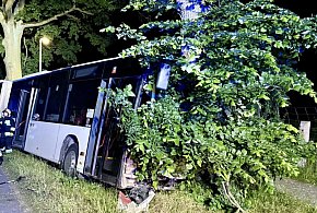 Autobus uderzył w drzewo w Grzepnicy. Kierowca trafił do szpitala