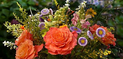 Dzisiaj Dzień Babci, jutro Dzień Dziadka-21226