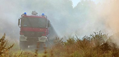 Zagrożenie pożarowe w lasach Zachodniopomorskiego