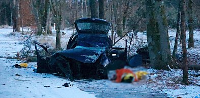 Uciekał przed policją. Zginął po zderzeniu z drzewem