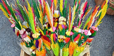 Niedziela Palmowa otwiera w Kościele Wielki Tydzień...