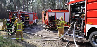 Niemal setka strażaków w akcji. Wielkie ćwiczenia w Puszczy Wkrzańskiej