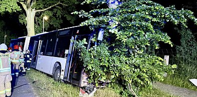 Autobus uderzył w drzewo w Grzepnicy. Kierowca trafił do szpitala