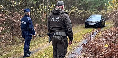 Działania prewencyjne STROISZ-25-20039