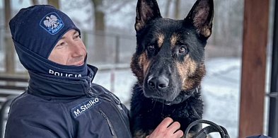 Policyjny pies Orys odnalazł osobę w kryzysie emocjonalnym-20568