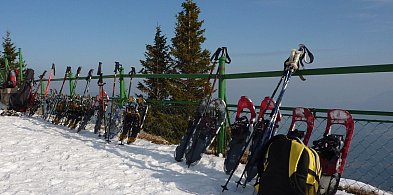 Jak wybrać walizkę na ferie zimowe?-20797