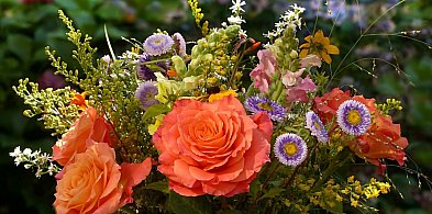 Dzisiaj Dzień Babci, jutro Dzień Dziadka-21226