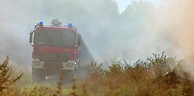 Zagrożenie pożarowe w lasach Zachodniopomorskiego