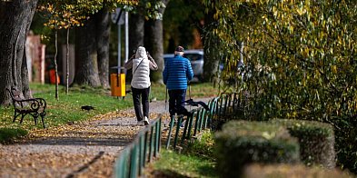 Naukowcy: dłuższy spacer lepszy niż kilka krótkich-20015