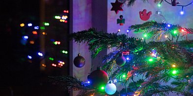 Choinka niejedno ma imię-20790