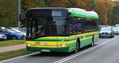 Wszystkich Świętych. Dodatkowa bezpłatna komunikacja miejska w Policach-19938
