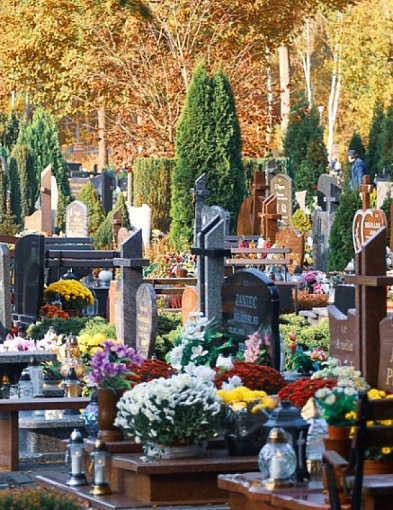 Jak znaleźć grób na cmentarzu w gminie Police? Wyszukiwarka-19944