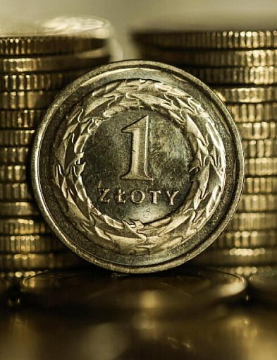 Rada Polityki Pieniężnej obniżyła stopy procentowe o 0,25 pkt proc.-20148