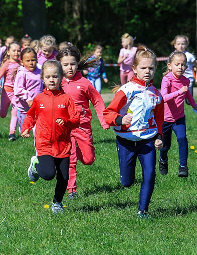 Finał Szkolnej Ligi Biegów Przełajowych 2025/2026 w Policach