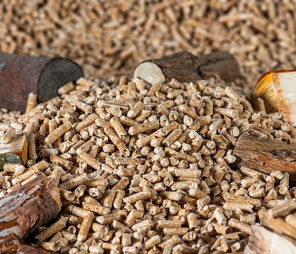 Drożeje popularny opał. Miliony Polaków dostaną po kieszeni tej zimy-20056