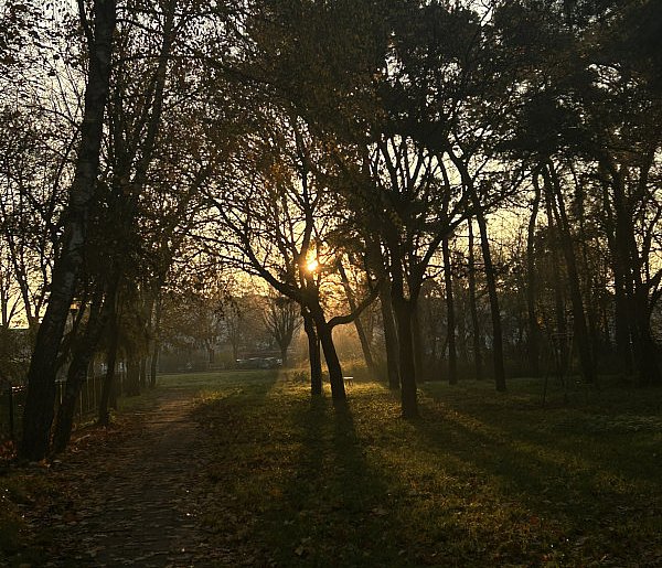 Nadchodzi najkrótszy dzień w 2025 roku. Sprawdź, kiedy przypadnie-20759