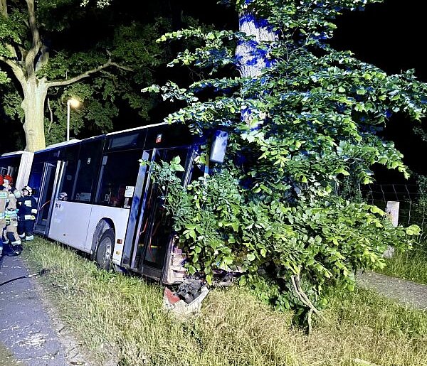 Autobus uderzył w drzewo w Grzepnicy. Kierowca trafił do szpitala